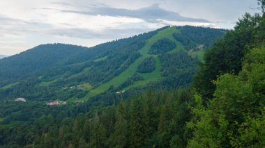 güzel yeşil dağ manzarası