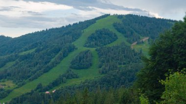 Dağların manzarası ve Karpat dağlarının ormanı