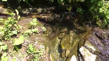 Doğanın güzel manzarası