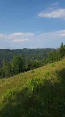 Karpat Dağlarının güzel manzarası, Ukrayna