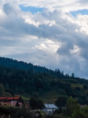 Dağları ve ağaçları olan güzel bir manzara.