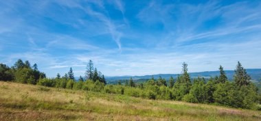 Dağlarda bir sürü ağaç ve mavi gökyüzü olan yeşil çayır.