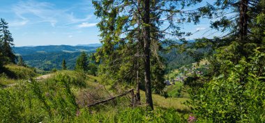 Yazın Karpatların güzel manzarası