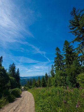 Dağ manzarası için güzel bir manzara