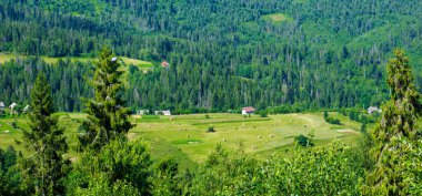 Dağ vadisinin güzel manzarası