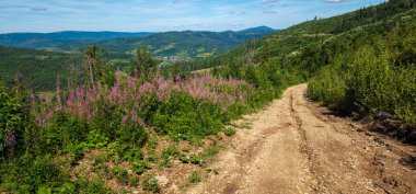 Karpat Dağları'nda yol