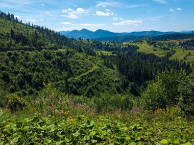 Karpatlar manzarada yaz