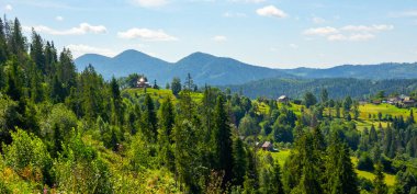 Yaz dağı manzarası. Buzgi Köyü