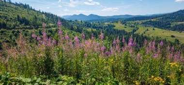 İsrail 'in kuzeyindeki dağların güzel manzarası.
