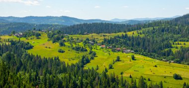 Karpat Dağları, Ukrayna. Yeşil çayırları olan güzel yaz manzarası.