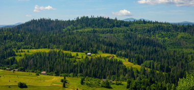 Yeşil orman ve dağlar