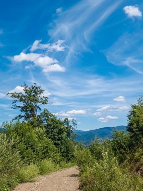 Dağları ve mavi gökyüzü olan güzel bir manzara.