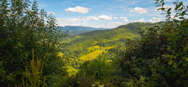 Karpatlar ve Ukrayna 'da dağlarla ve ormanlarla dolu yaz manzarası