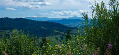Karpat Dağları 'nın güzel manzarası