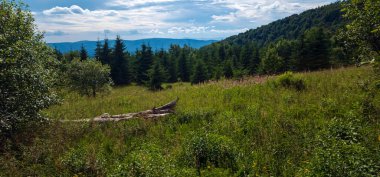 Dağ nehri olan güzel bir manzara.