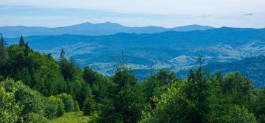 Yazın Karpat Dağları.