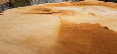 Yakın - eski ahşap kütük.