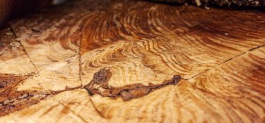 Eski ahşap arkaplan dokusu