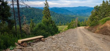 Dağlardaki çam ormanlarının arasında yol.