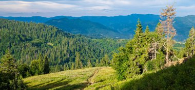 Dağları ve ormanı olan güzel bir manzara.