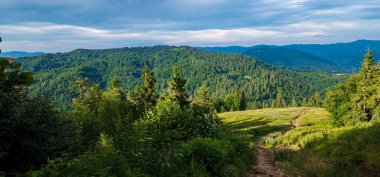 Karpatların yeşil dağları ve ağaçları
