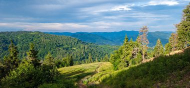 Karpat Dağlarının güzel yaz manzarası