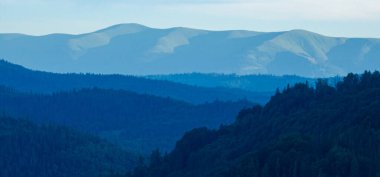 Ormandaki dağ manzarası