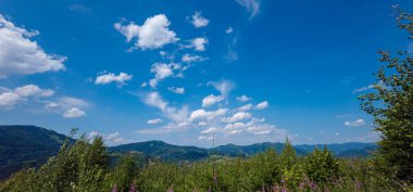 Dağlarda yaz manzarası