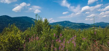 beautiful landscape with mountain in the background