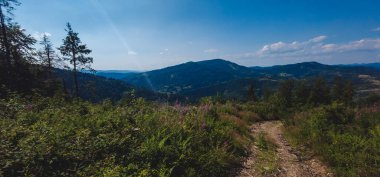 Yeşil ağaçları ve mavi gökyüzü olan güzel bir dağ manzarası.
