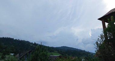 güzel dağ manzarası ile orman