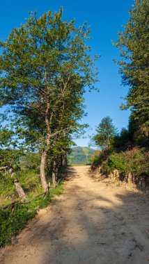Dağlarda güzel yol