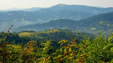 Karpat Dağları güzel manzara yaz