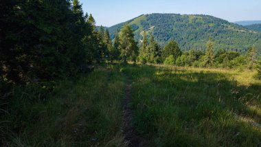 Yazın dağ manzarası
