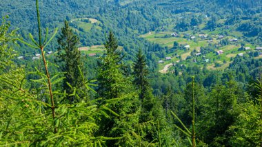 Yaz manzarası dağdan batı Tatras 'taki Kokoin köyüne, Slovakya.
