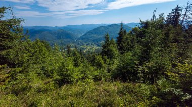 Karpatların zirvesindeki dağ yürüyüşü patikası.