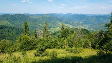 Karpat dağlarındaki dağ vadisinin yaz manzarası.