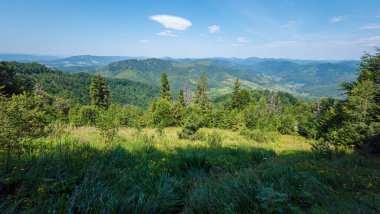 Karpatlar 'da güzel bir yaz manzarası
