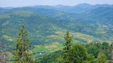 Yeşil çimenleri ve ağaçları olan güzel bir manzara.