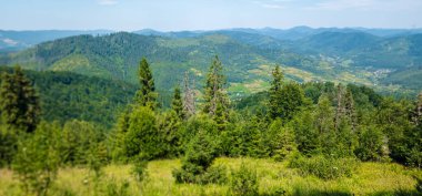 Ukrayna Karpat Dağları'nın güzel manzara