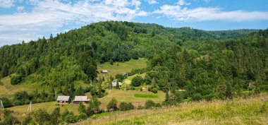 Güzel yaz manzarası. Karpat Dağları, Polonya.