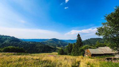 Yazın Karpat Dağları. Mavi gökyüzü olan yeşil orman.
