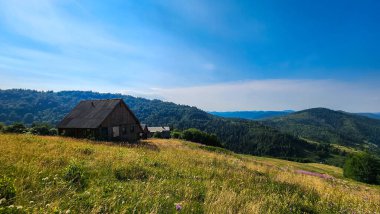 Tahta bir evi olan güzel bir yaz manzarası