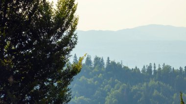 Dağın tepesinden manzara