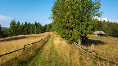 Yazın güzel bir çayırda kırsal yol