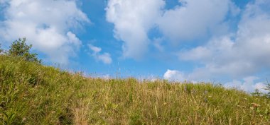 Mavi gökyüzünün arka planında güzel yeşil çimenler ve yazın bulutlar.