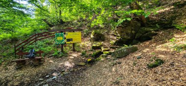 Dağın güzel doğası.