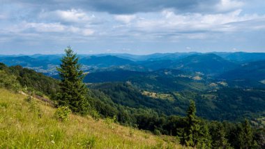 Yaz günü Karpatlar 'ın manzarası