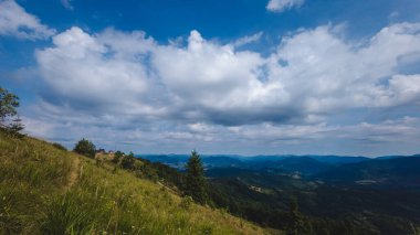 Ormandaki bir dağın güzel manzarası masmavi bir gökyüzünün altında