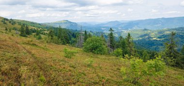 Yazın Karpatların yeşil dağları. Güneşli bir gün. hava aracı görünümü.